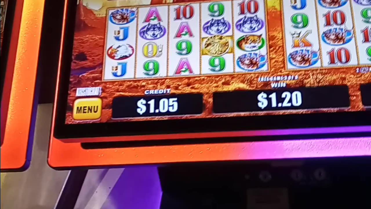 Buffalo & Friends Bonus