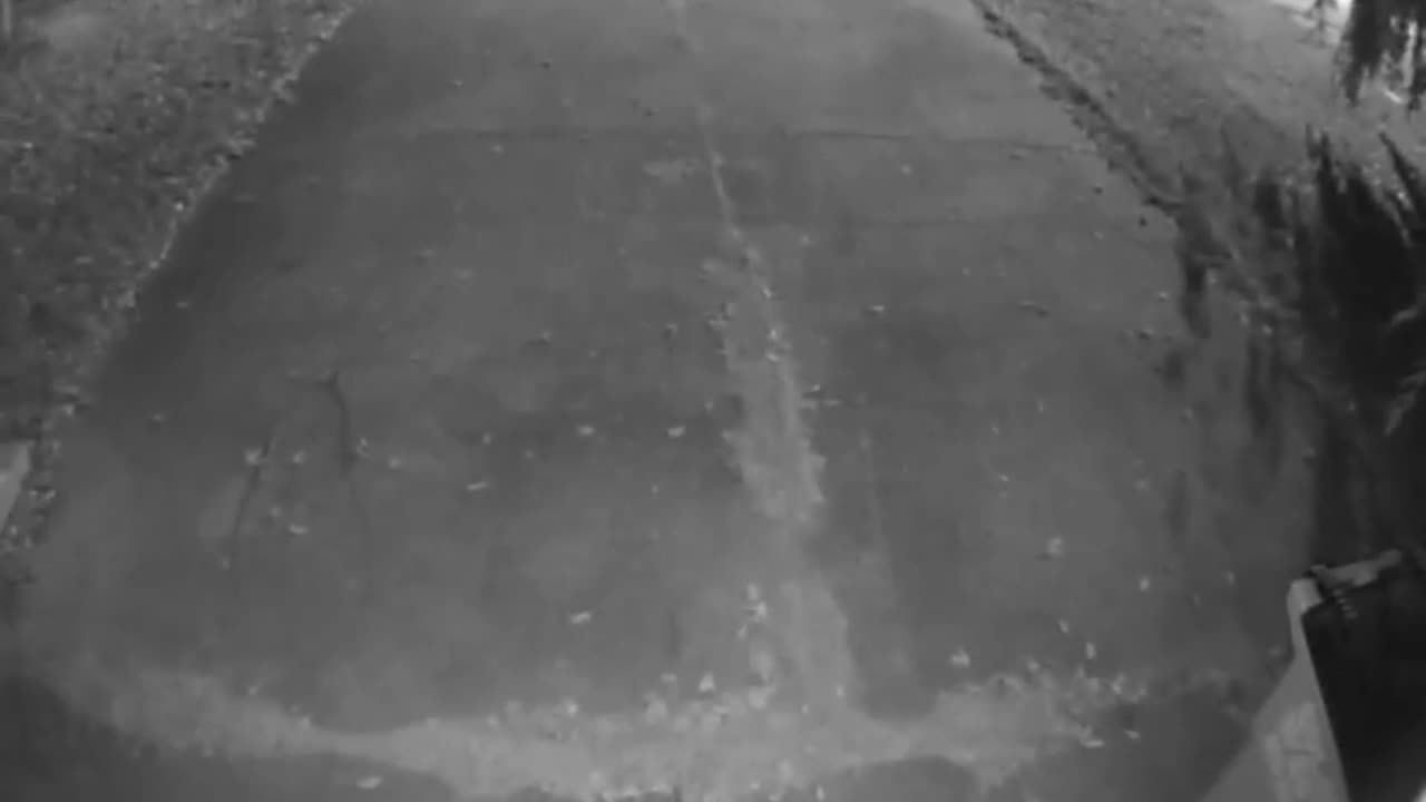 🤯👻 ANY THOUGHTS WHAT ON EARTH THIS IS?! | TheHauntingHour