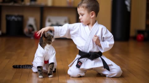 A cat and a child demonstrating karate