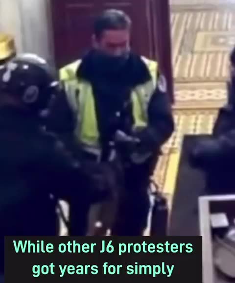 Another undercover fbi let loose