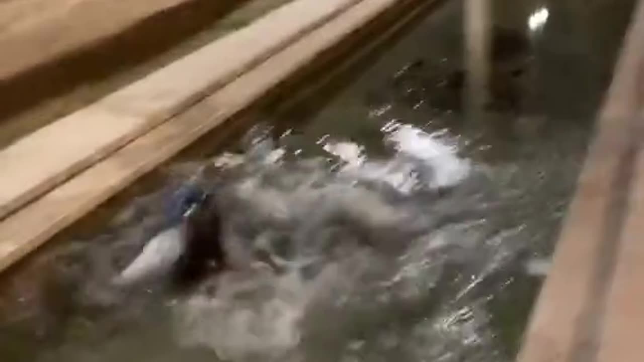 Priceless Reaction When My Friend's Jump Goes Completely Wrong! 🤣