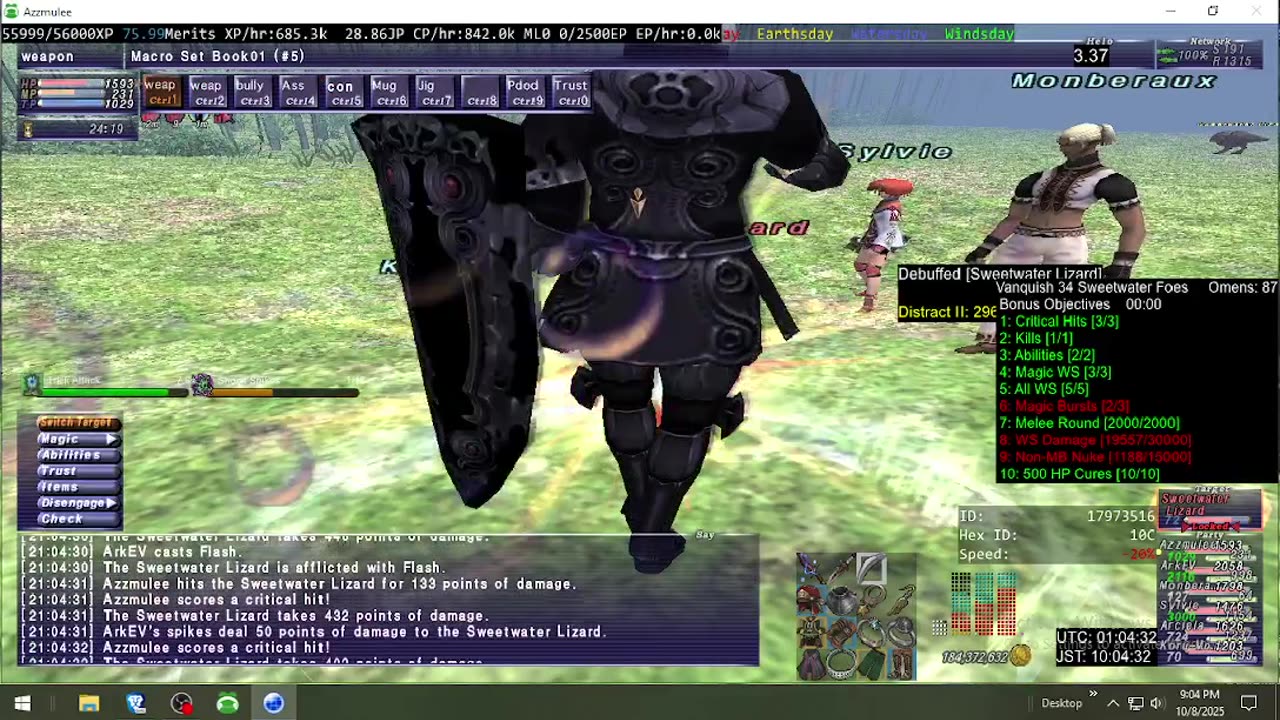 Playing Final Fantasy XI Online
