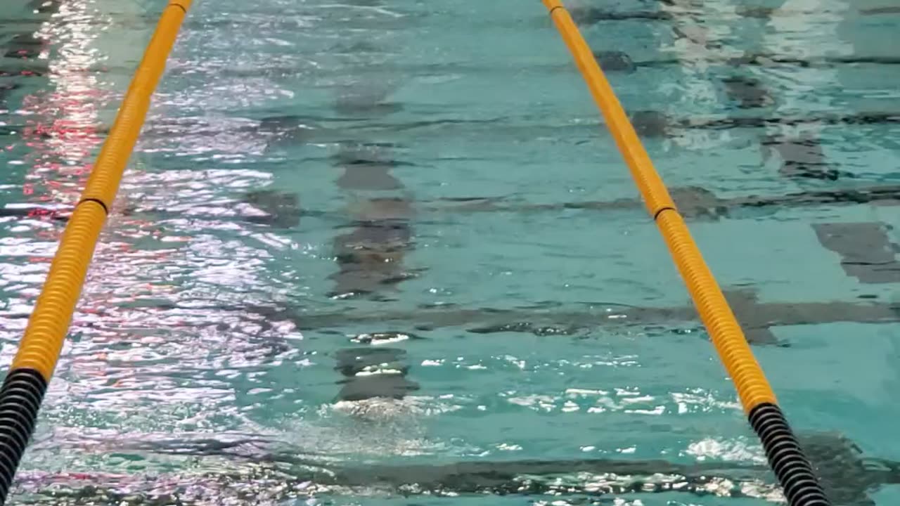 11 Oct 2025 - Fly clinic