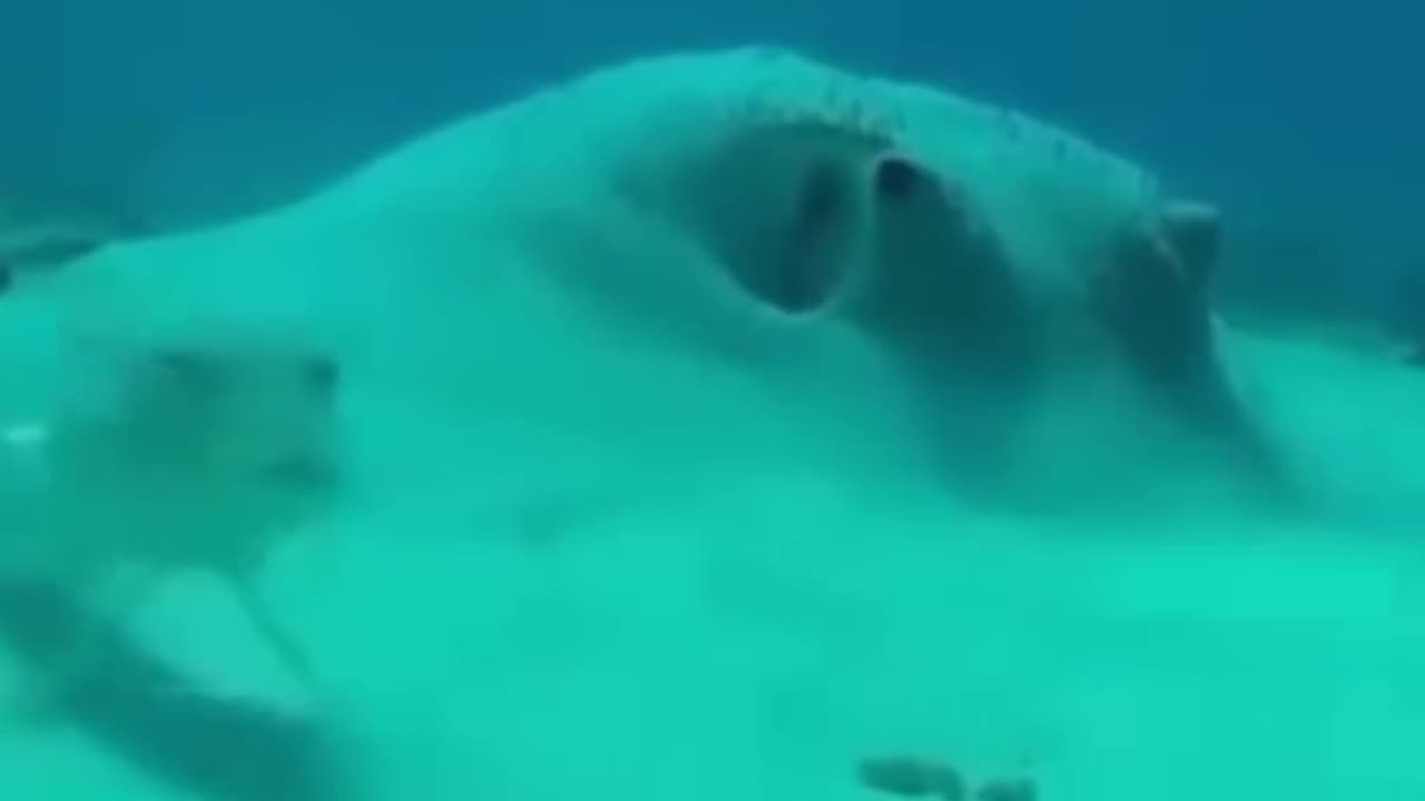 That one friend without their glasses.. 😂