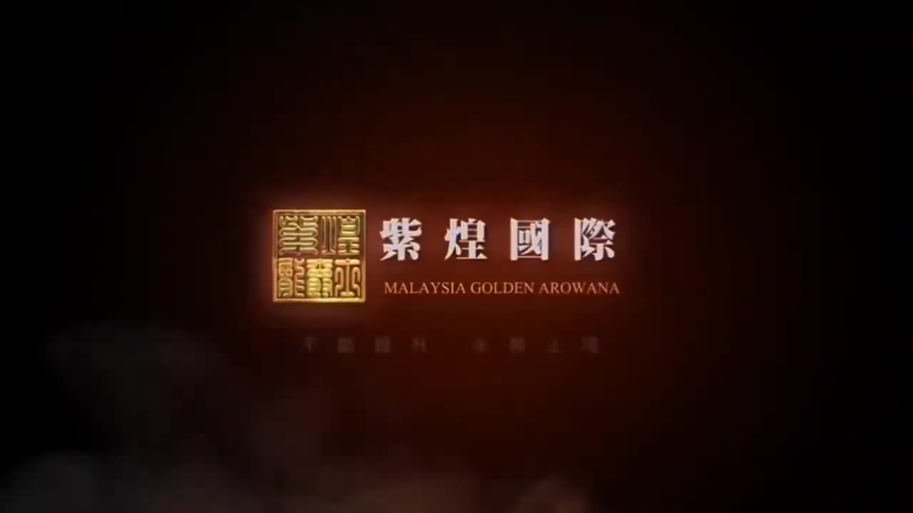 【龍爵士】千問千答 Q127 為甚麼硝化菌不能液態保存，光合菌就可以