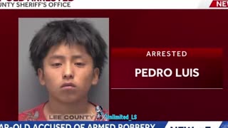 12-year-old accused of two counts of armed robbery in Florida; ICE HOLD