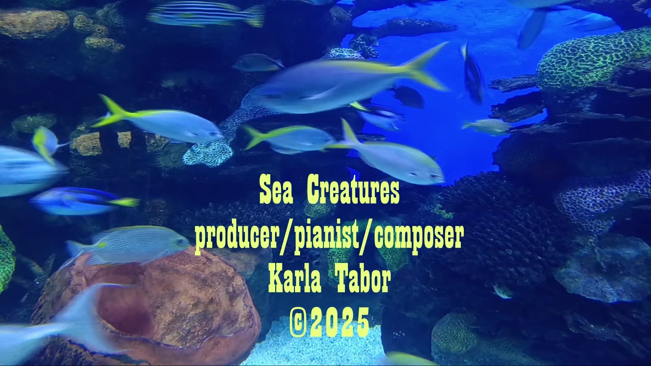 Sea Creatures by Karla Tabor