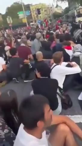 Pro Hamas protesters sitting in the street in Switzerland get run over...thump thump thump