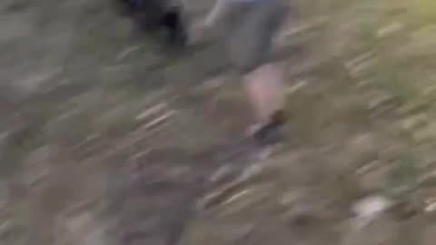 A white child is beaten by a black kid while black adults film nearby.