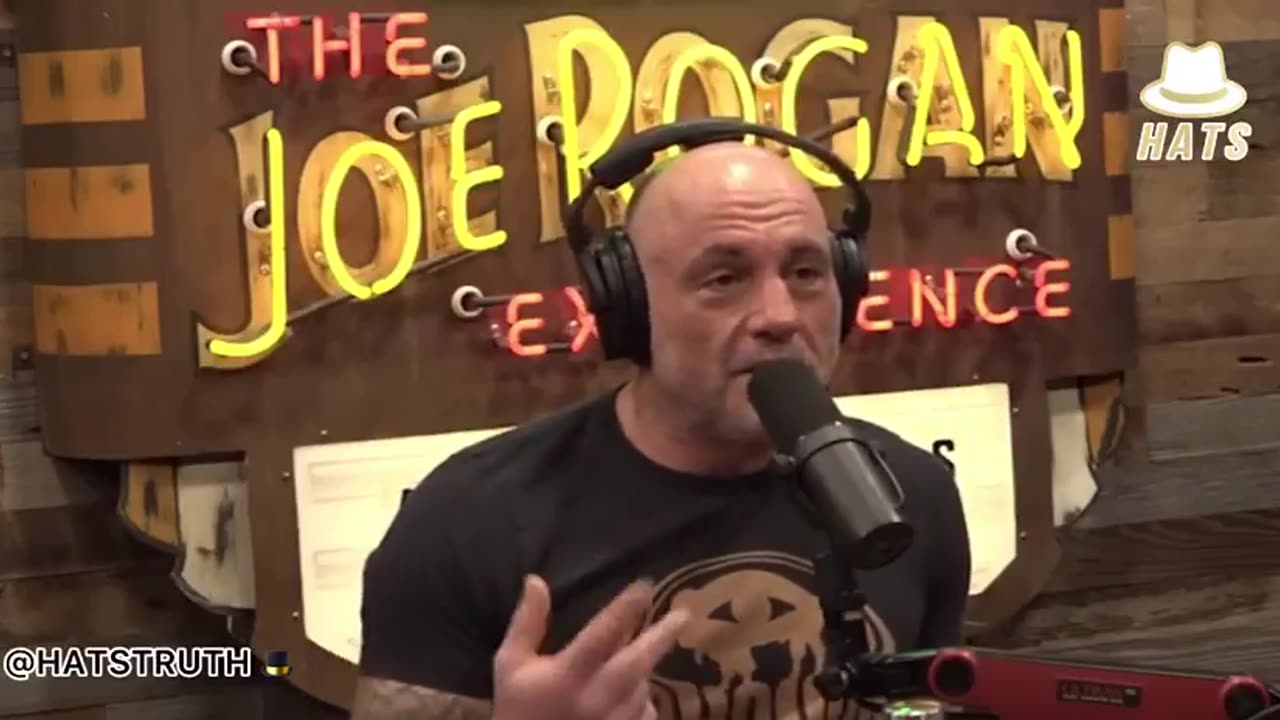 Joe Rogan: Bill Gates dice che piantare alberi per gestire l'anidride carbonica è ridicolo