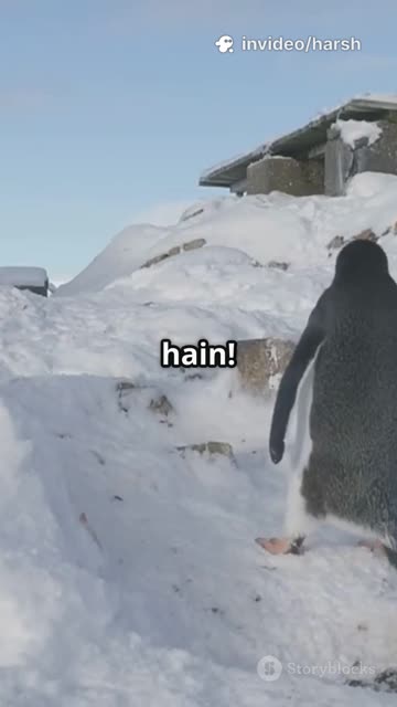 Why Do Penguins Walk Funny? 🐧 | Fun Fact Friday | Kids Animated Science Story in Hindi #kids #shorts