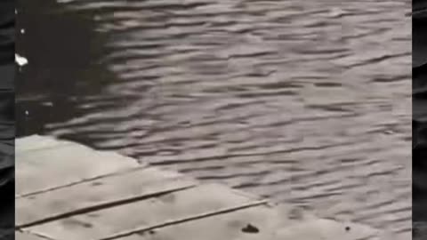 😱👻 You Won't Believe the Creepy Paranormal Activity! | TheHauntingHour