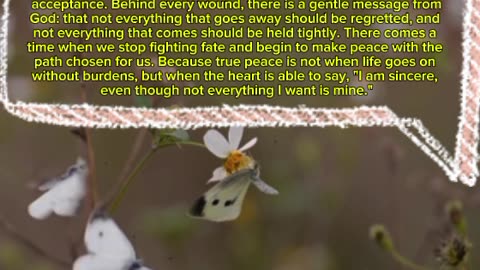 the silence of the night teaches us many things Translate a conversation