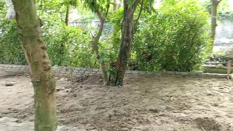 How We Built the Garden Floor