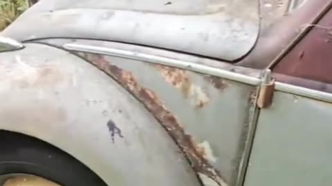 VOLKSWAGEN 1963