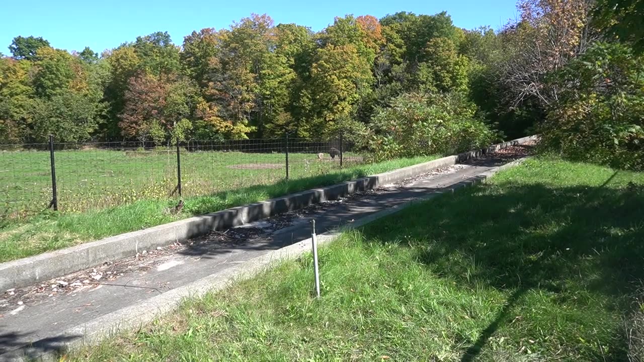 TORONTO ZOO