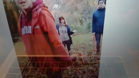 Dogs & owners out diagnosing the insane as I pass by.