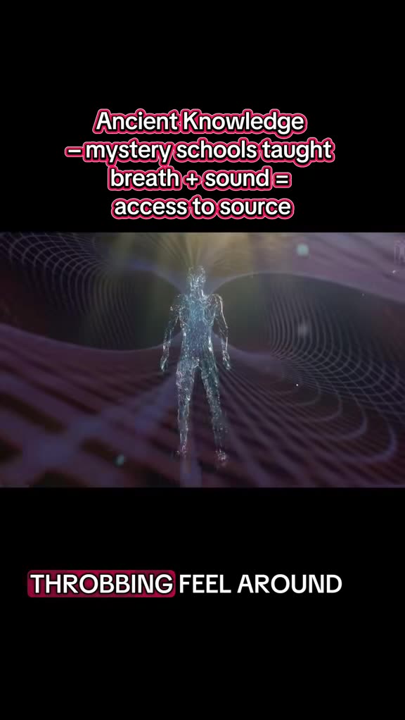 EVERYTHING IS A TOROIDAL FIELD OR A TORUS