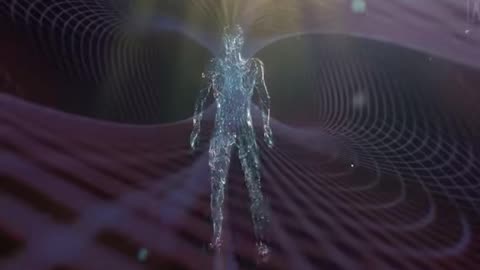 EVERYTHING IS A TOROIDAL FIELD OR A TORUS