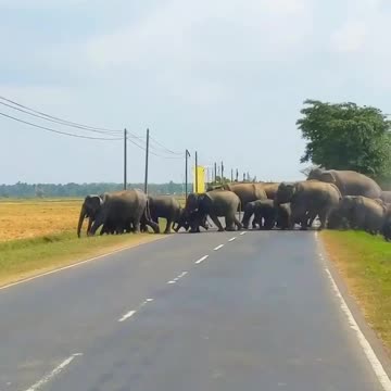 A wonderful sight never seen before 😱🤗