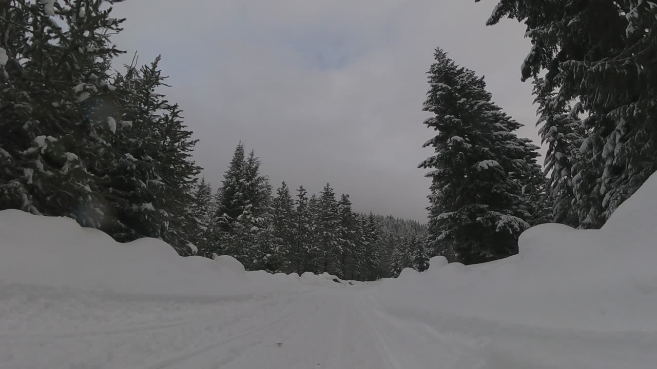 Out and About enjoying the snow