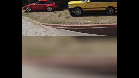 Craziest Car Collection in the World — You Won’t Believe These Supercars! 😱🏎️