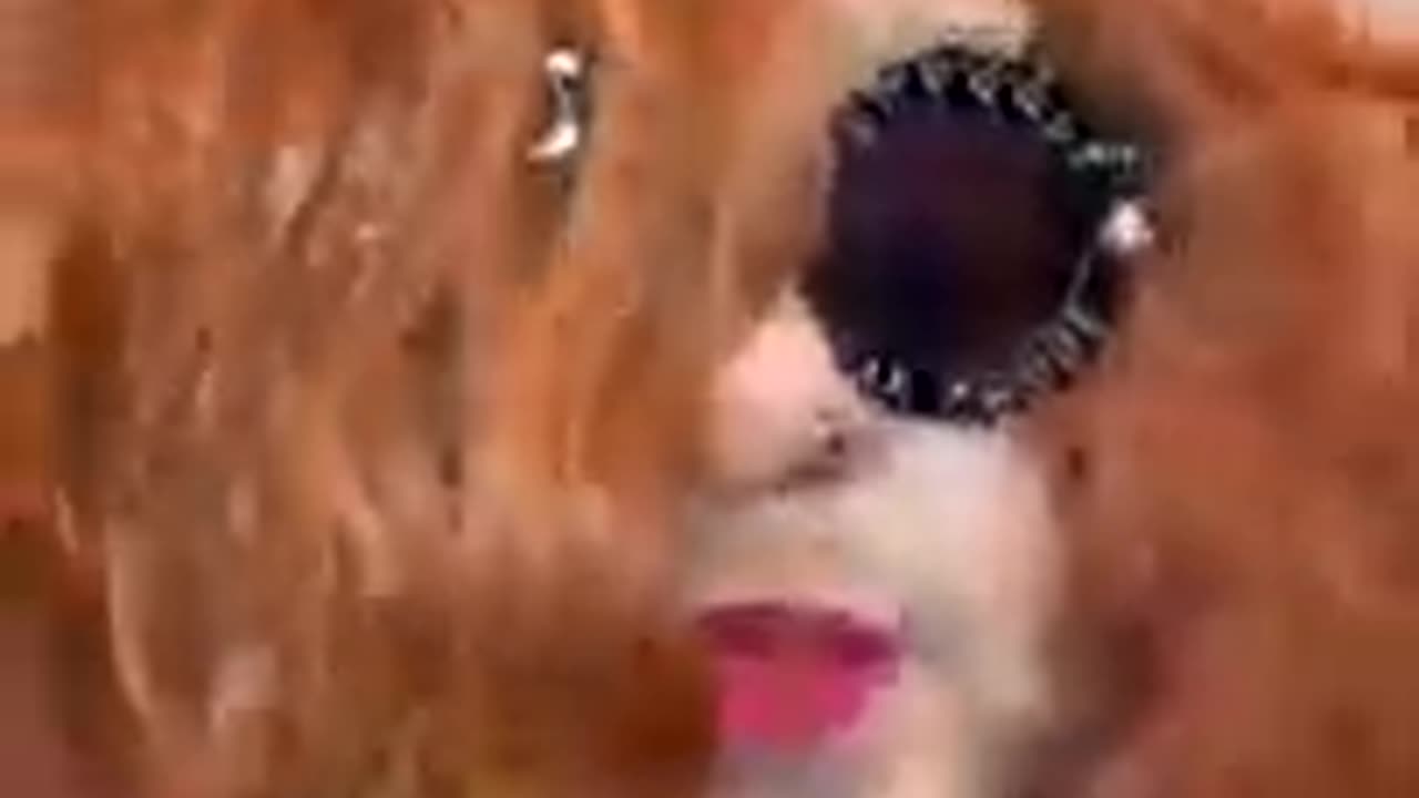 MsH 20201107 Unknown title