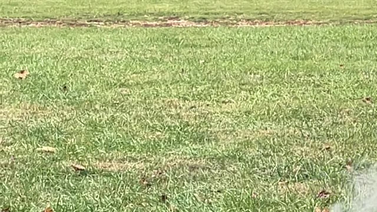 mortar slo mo with shot fall