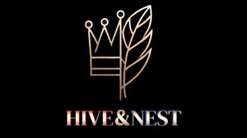 01 HIVE&NEST - Introduction