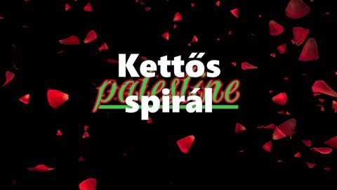 Palestine ¦ Kettős spirál (dalszöveges audió)
