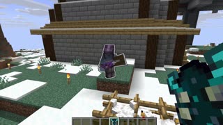 Weird Fences in Minecraft