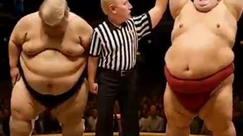 trump and Kim joongun in sumo japanes