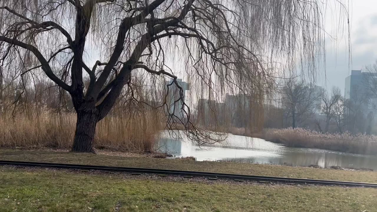 Serene Scene in a park!