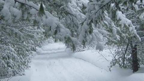 The Deadly Snowman – Day 104 #sunsetlanguages #русскийязык