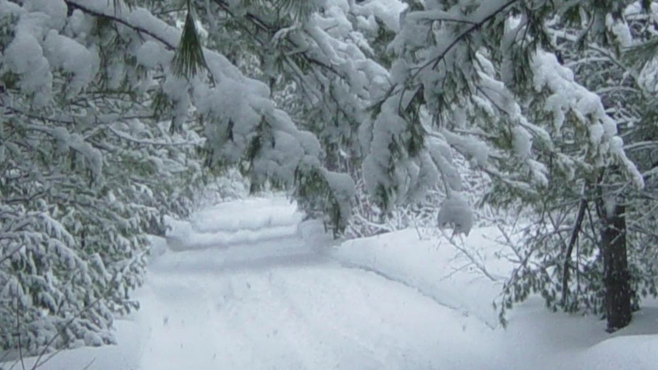 The Deadly Snowman – Day 104 #sunsetlanguages #русскийязык