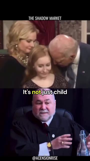 The Shadow government