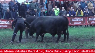 Korida kod Admira Lapandića Banovići 2025