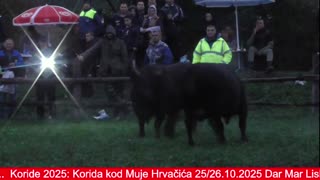Korida kod Admira Lapandića Banovići 2025