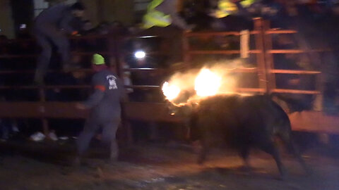 2025 11 15 MEDINACELI TORO JUBILO