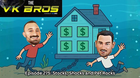 Stocks, Shocks and Pet Rocks - The VK Bros Ep275