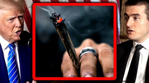 Donal Trump on marijuana | Lex Fridman Podcast Clips