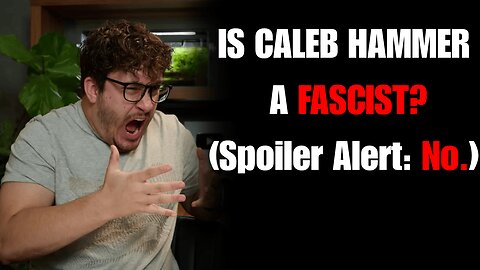 IS CALEB HAMMER A FASCIST (Spoiler alert: No) | Should Caleb Hammer Audit all 50 states? |