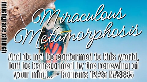 Miraculous Metamorphosis : The Salvation of the Soul