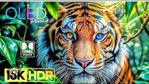 Unique Tigers Collection 8K HDR 60FPS ULTRA HD