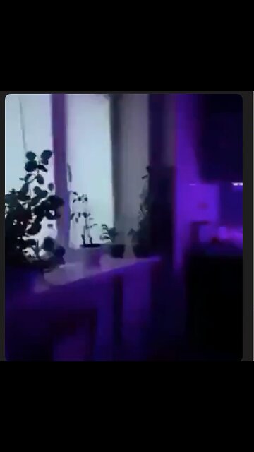 Nut job is a knockin' Can you imagine waking up to this in the morning?