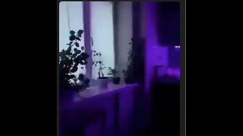 Nut job is a knockin' Can you imagine waking up to this in the morning?