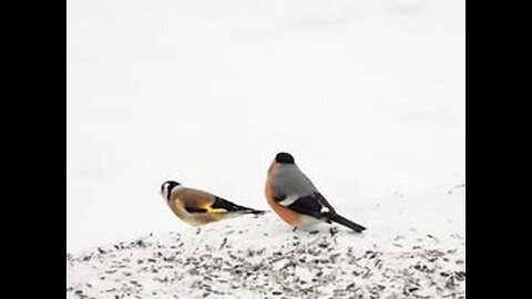 Nu gott folk är det fan i mig på tiden att ni vaknar ???