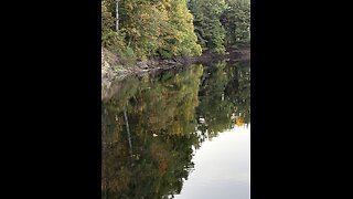 God is good all the time 1465: De colonization- What?