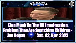 Elon Musk On The UK Immigration Problem They Are Snatching Children - Joe Rogan