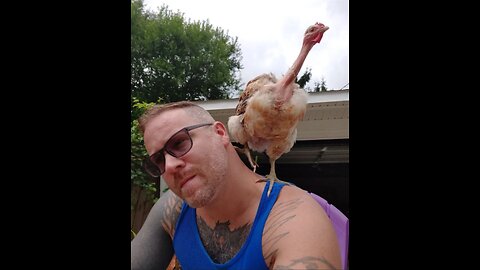 Star Wars: The Old Republic game play